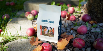 Seasonal Coffee Artist Series: Fall with Maya Wysocki