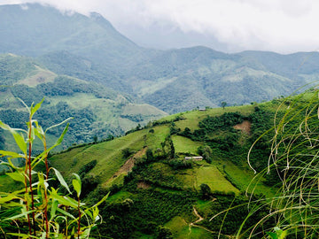 Origin photo from a Central American coffee area.