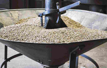 The green bean loader with green beans in it to be sent to our roaster.