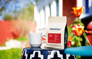 New Single Origin Coffee Release: Mexico Chiapas