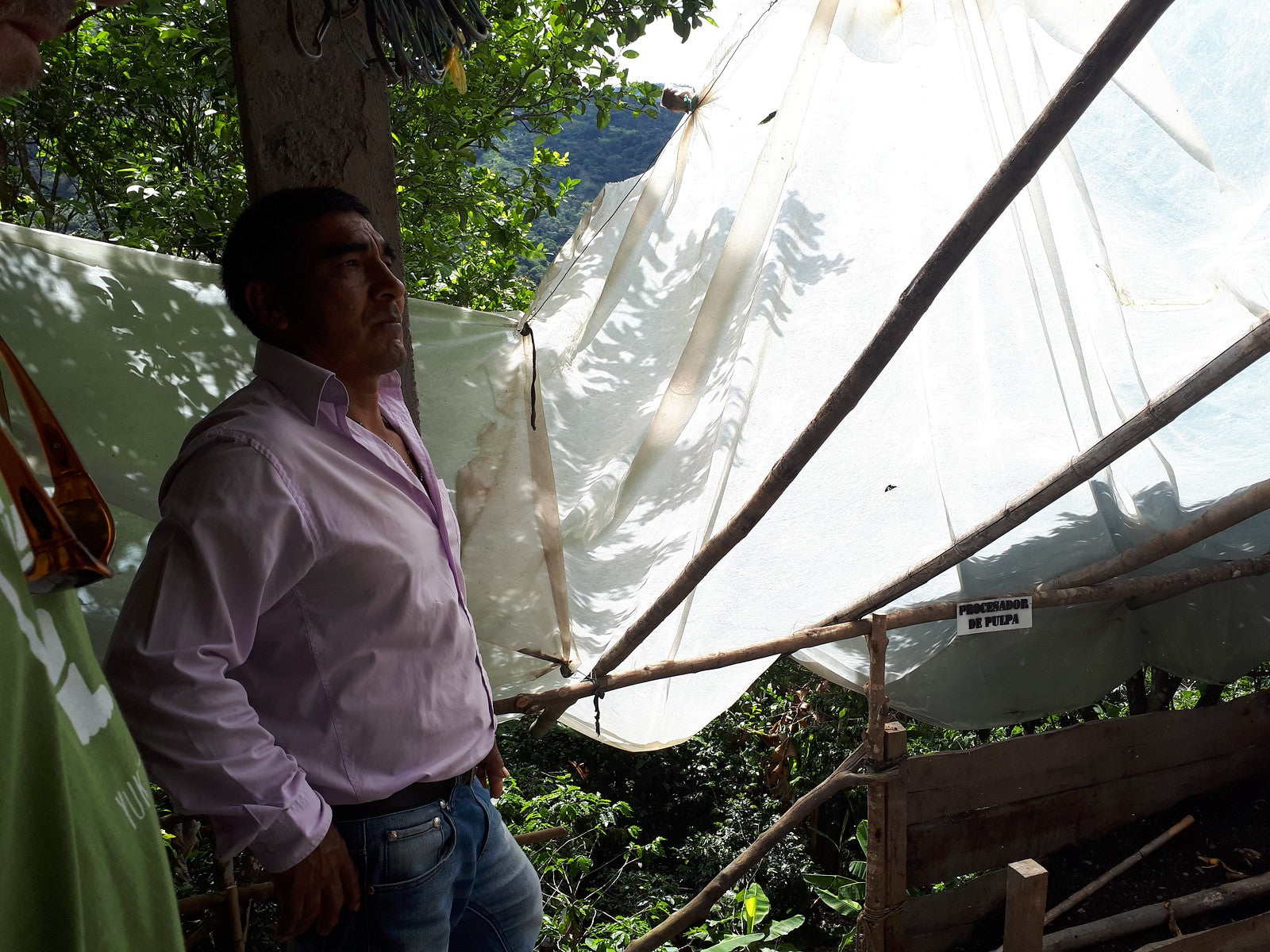 A coffee farmer from Colombia COSURCA cooperative leaning against a post with tarps nearby.