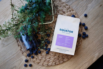 Top down view of a bag of Ethiopia Sidama with blueberries surrounding it and some foliage.