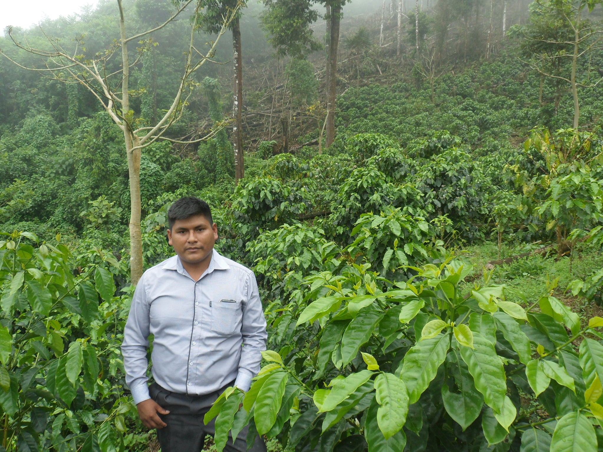 A coffee farmer in the Bolivian province of Caranavi.