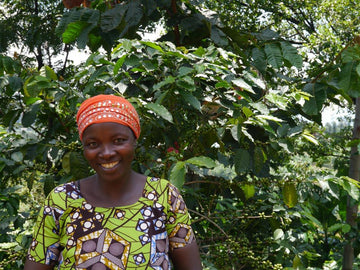 A Rwandan coffee farmer amongst her coffee plants.