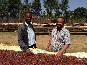 New Single Origin Coffee: Ethiopian Sidama Telamo